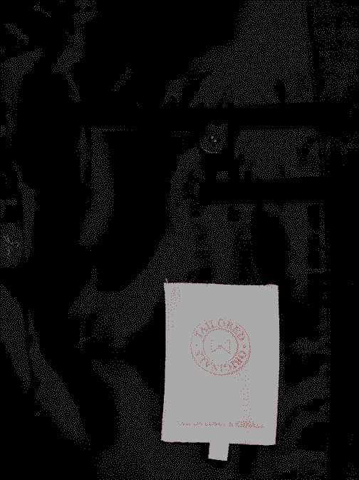 Dark Jacket - Image 4